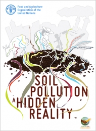Soil pollution: a hidden reality
